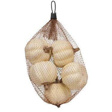 5 Set Mossy Stem Cream Pumpkins - The Fox Decor